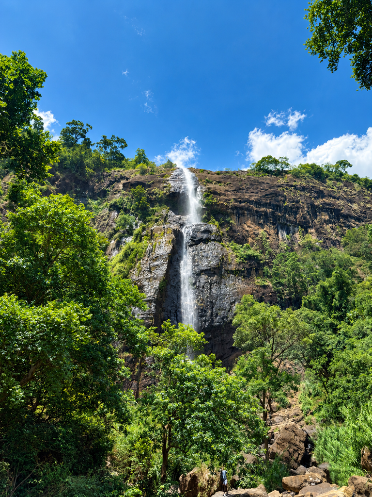 waterfall through the forest canyon